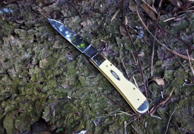 Yellow TB Tribal Lock 2018 First Outing I.JPG