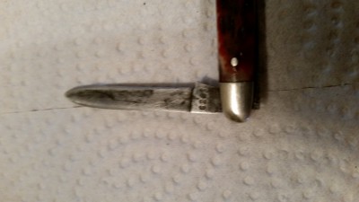 20190323_174850.jpg