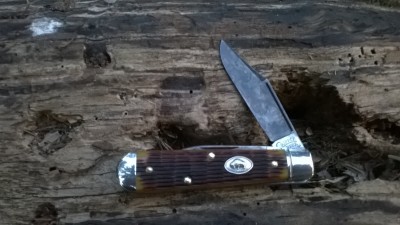 WP_20190320_016.jpg