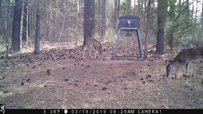 IMG_0287.JPG
