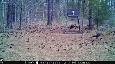 IMG_0386 (2).JPG