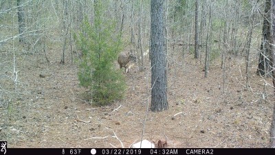 IMG_0085.JPG