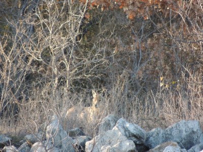 DSCN0029.JPG