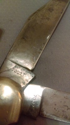 IMAG0298.jpg
