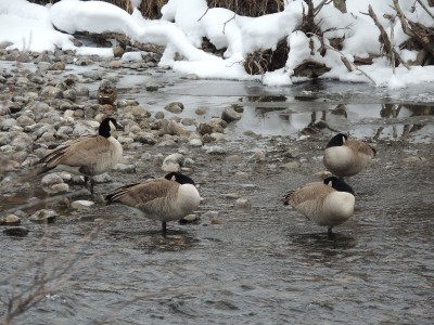 DSCN5139.JPG