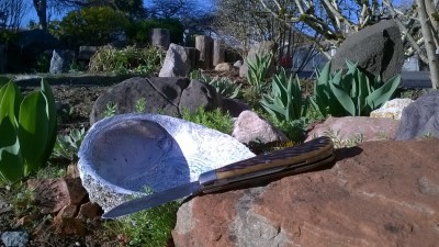 WP_20190326_041.jpg