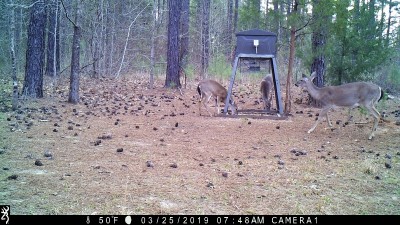 IMG_0030 (2).JPG