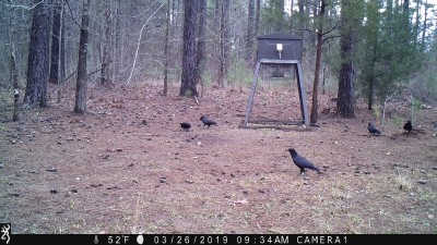 IMG_0064.JPG