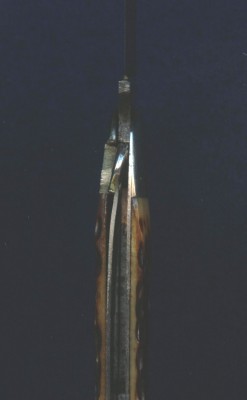 Robeson6166110005.JPG