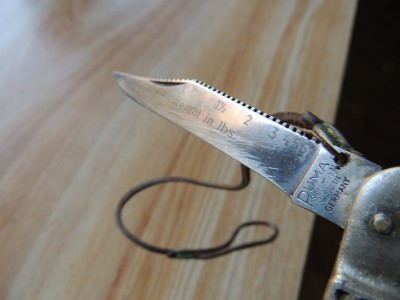 DSCN5538.JPG