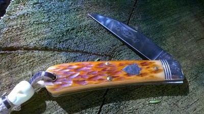 WP_20190330_031.jpg