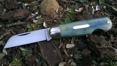 WP_20190328_053.jpg