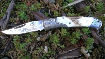 WP_20190328_023.jpg
