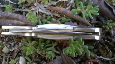 WP_20190328_029.jpg