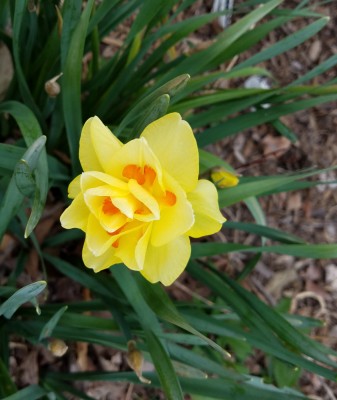 20190330_121748.jpg