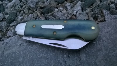 WP_20190327_030.jpg