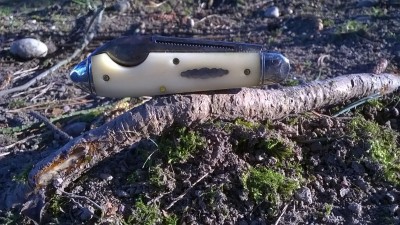 WP_20190326_044.jpg