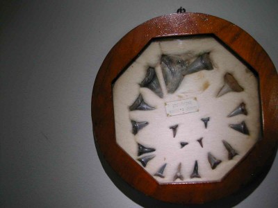 DSCN4326.jpg