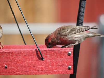 DSCN5565.JPG