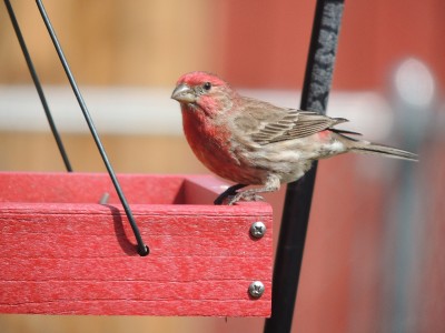 DSCN5566.JPG