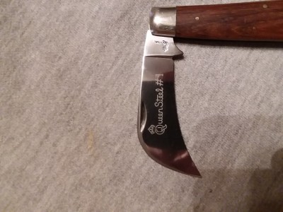hawkbill.jpg