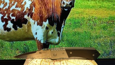 IMG_20171111_161018.jpg