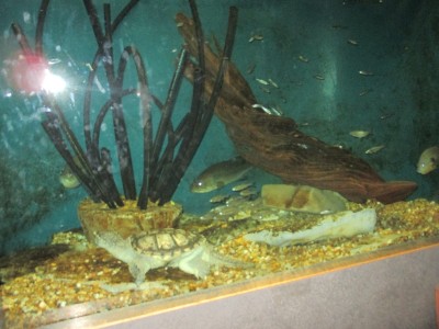 IMG_4925.JPG