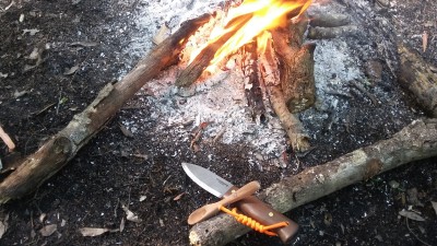 20190402_165240.jpg