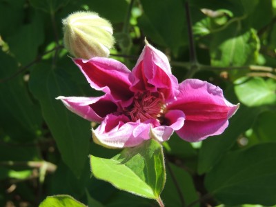 DSCN5603.JPG