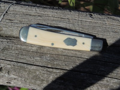 DSCN5600.JPG