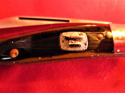 P1030165 (2).JPG