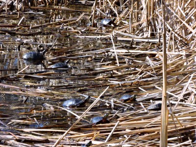 DSCN7064.JPG