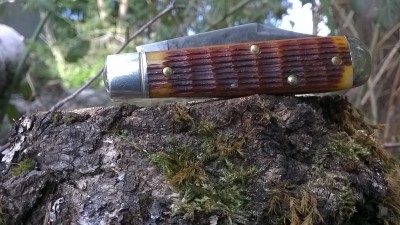 WP_20190404_053.jpg