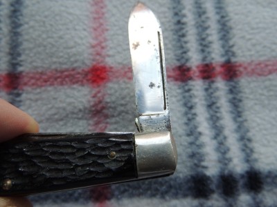DSCN5611.JPG