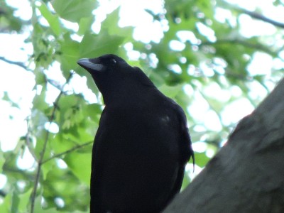 DSCN6995.JPG