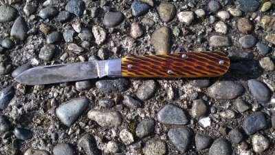 WP_20190328_034.jpg