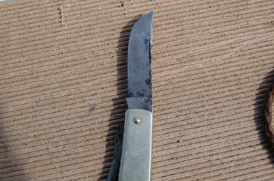 DSC_2306.JPG