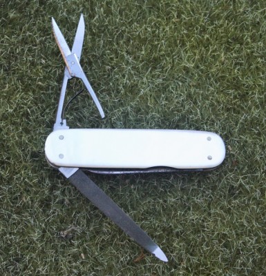 CutCoLobster1.jpg