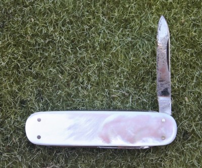 CutCoLobster2.jpg