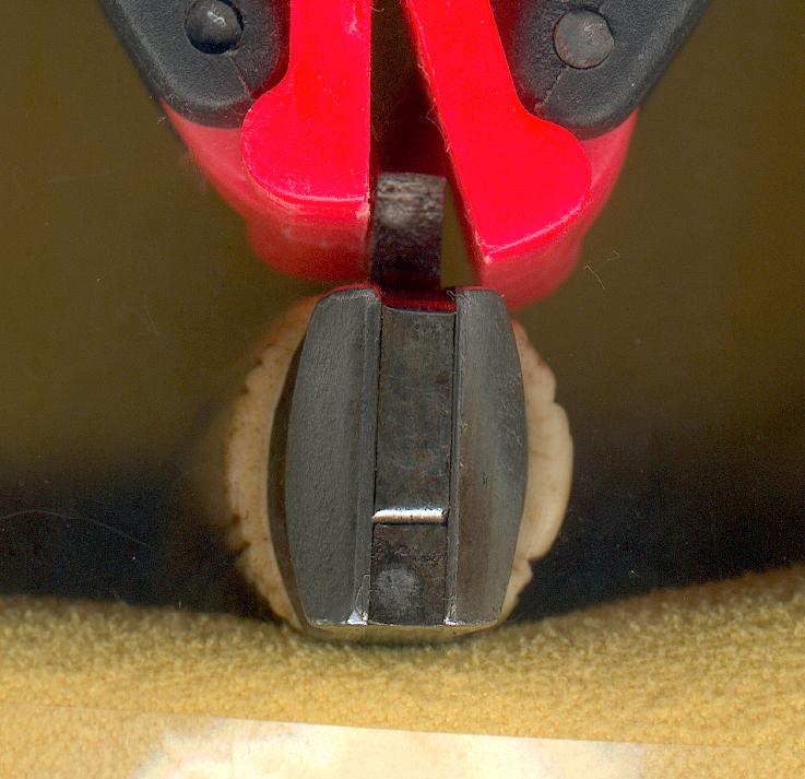 ScrattedHawk3.jpg