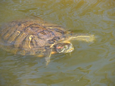 DSCN2139.JPG