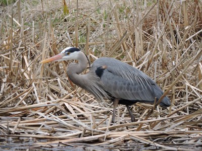 DSCN7161.JPG