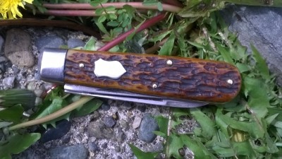WP_20190415_033.jpg