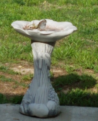 20190417_090952.jpg