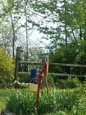 20190417_091144.jpg