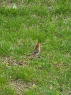 20190417_102828.jpg