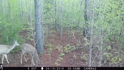 IMG_0037.JPG