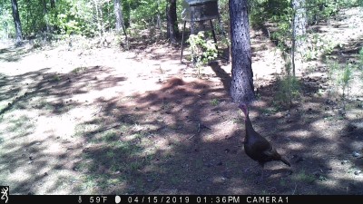 IMG_0062.JPG