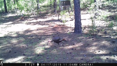 IMG_0095.JPG