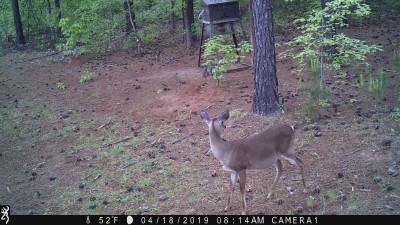 IMG_0111.JPG